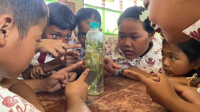 Peran Pendidikan Sekolah dalam Menumbuhkan Cinta Alam
